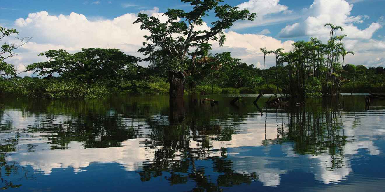 Reserva de Producción Faunística Cuyabeno Ecuador Guia de viaje