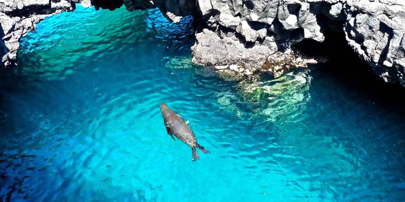 Reserva Marina Galápagos Ecuador Guia De Viaje Planetandes